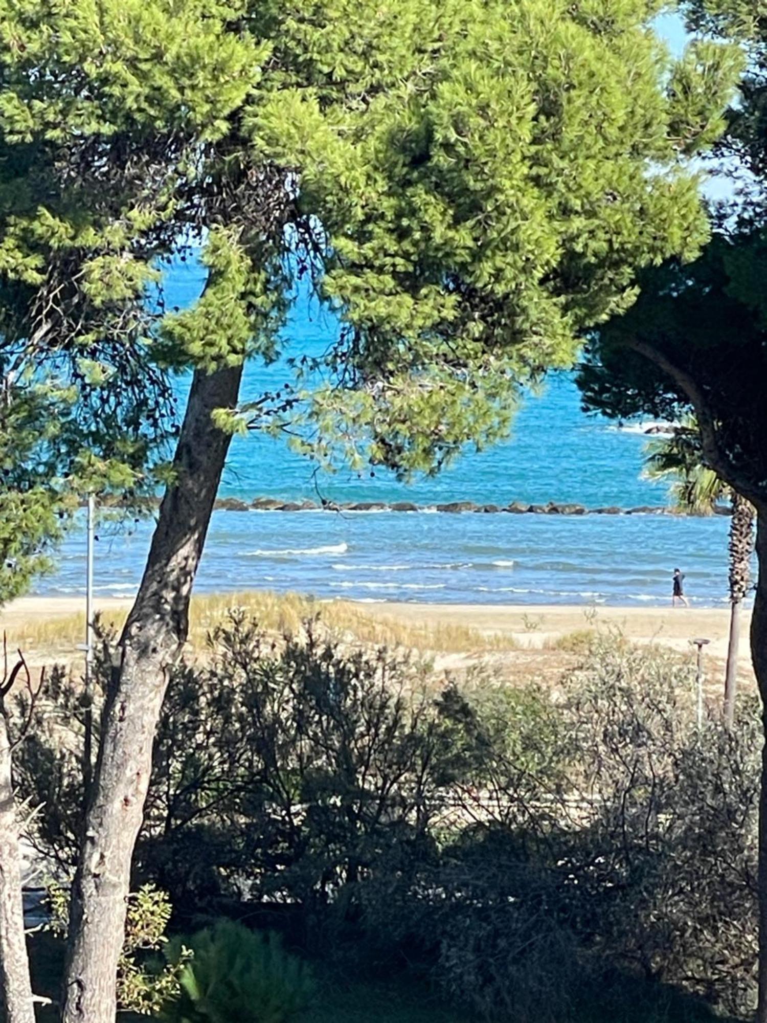 Апартаменты Attico Vista E Fronte Mare Zaffiroblu Con Posto Auto Монтесильвано Экстерьер фото